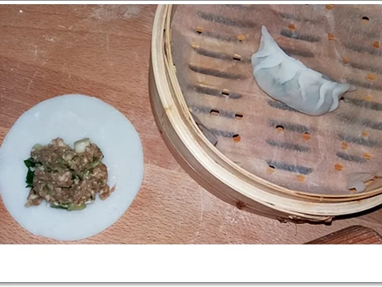 Gedämpfte Dumplings mit Schweinehack Füllung - Rezept - Bild Nr. 4586