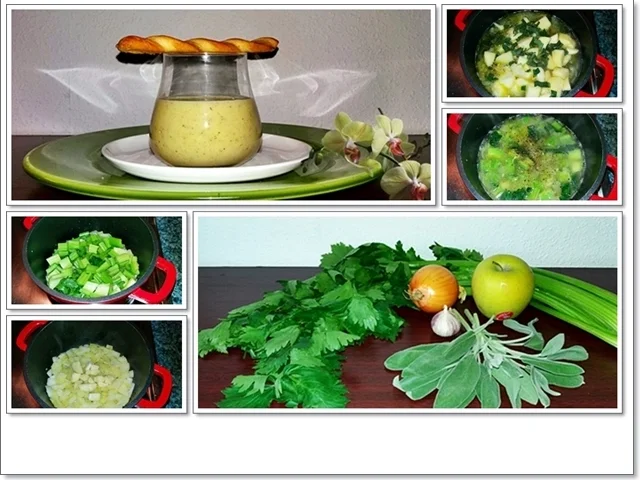 Cremige Staudensellerie-Salbei-Suppe - Rezept - Bild Nr. 4579