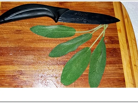 Cremige Staudensellerie-Salbei-Suppe - Rezept - Bild Nr. 4590