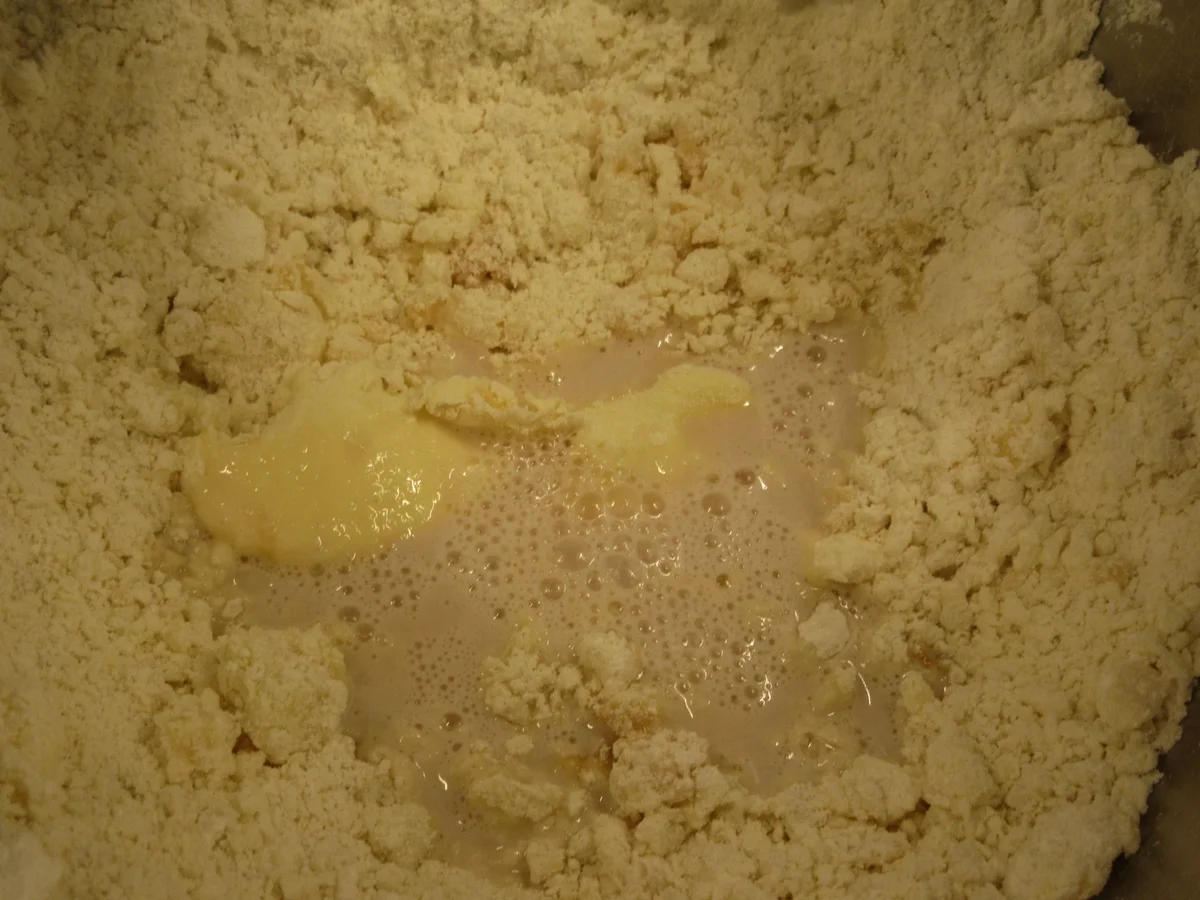 Rezept: Brot/Brötchen: Kartoffelbrötchen für Burger Bild Nr. 4591 Brot/Brötchen: Kartoffelbrötchen für Burger - Rezept - Bild Nr. 4591