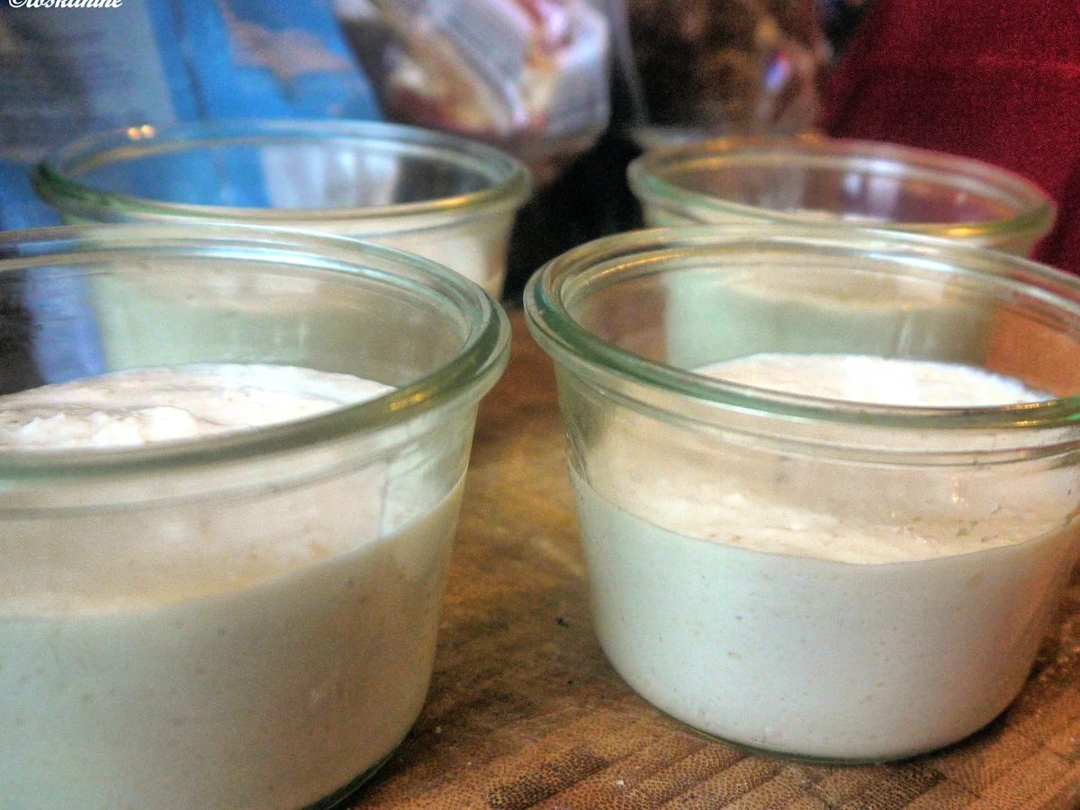 Kokosquark mit Granatapfel - Rezept - Bild Nr. 7