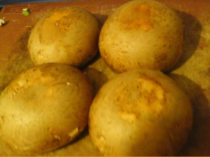 Riesen-Champignons mit Käsefüllung - Rezept - Bild Nr. 3