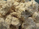 Plätzchen: Kokosmakronen nach meiner Art - Rezept - Bild Nr. 4628