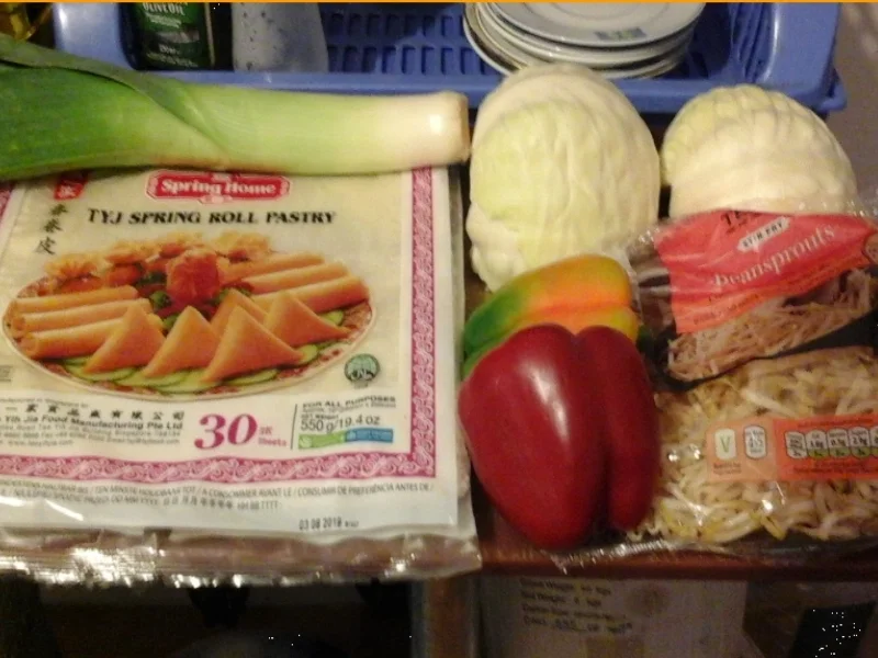 Frühlingsrollen mit Rindermett und Weißkohl - Rezept - Bild Nr. 4650