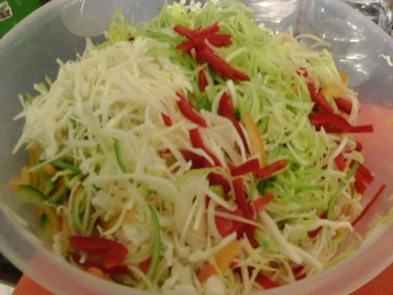 Frühlingsrollen mit Rindermett und Weißkohl - Rezept - Bild Nr. 4657