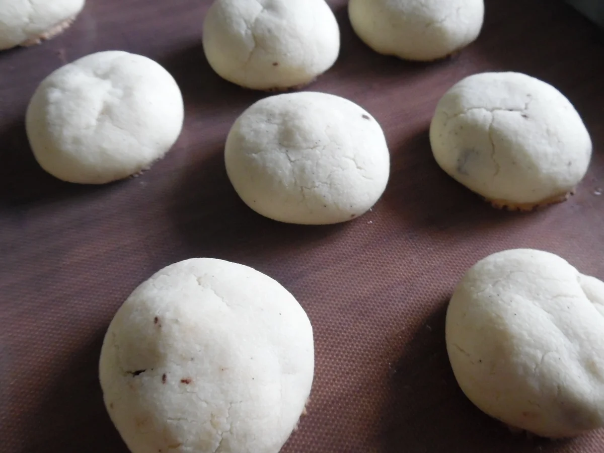 Wiener Leckerli - Rezept - Bild Nr. 4695