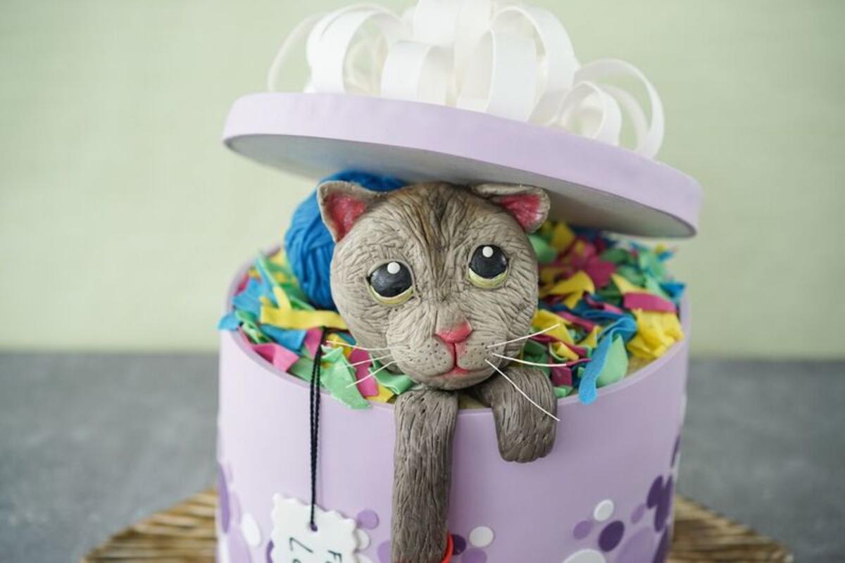 Sally backt: Katze in der Geschenkbox - Rezept - Bild Nr. 2