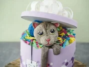 Sally backt: Katze in der Geschenkbox - Rezept - Bild Nr. 2