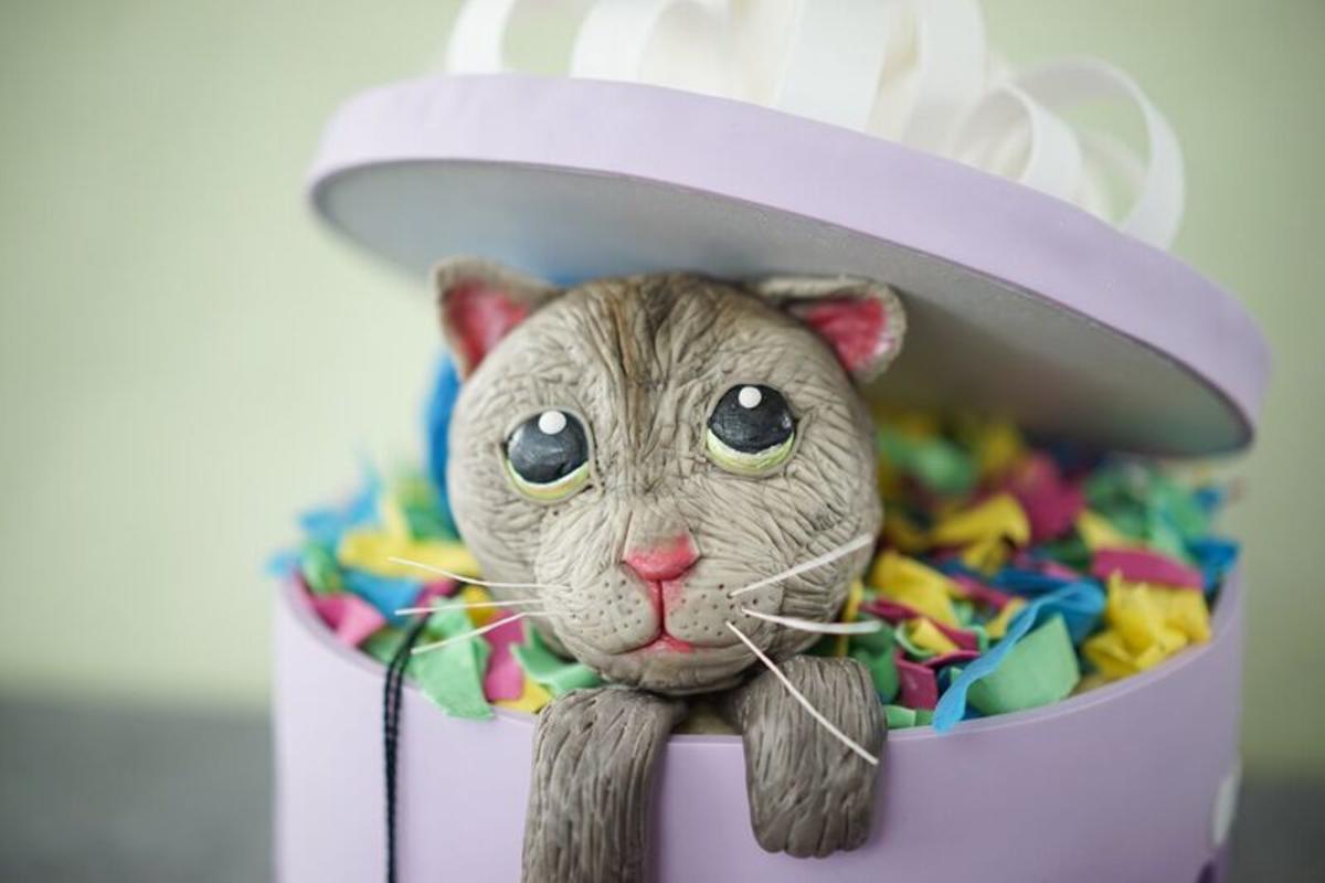 Sally backt: Katze in der Geschenkbox - Rezept - Bild Nr. 5