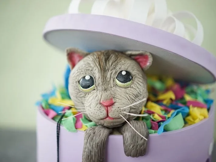 Sally backt: Katze in der Geschenkbox - Rezept - Bild Nr. 5