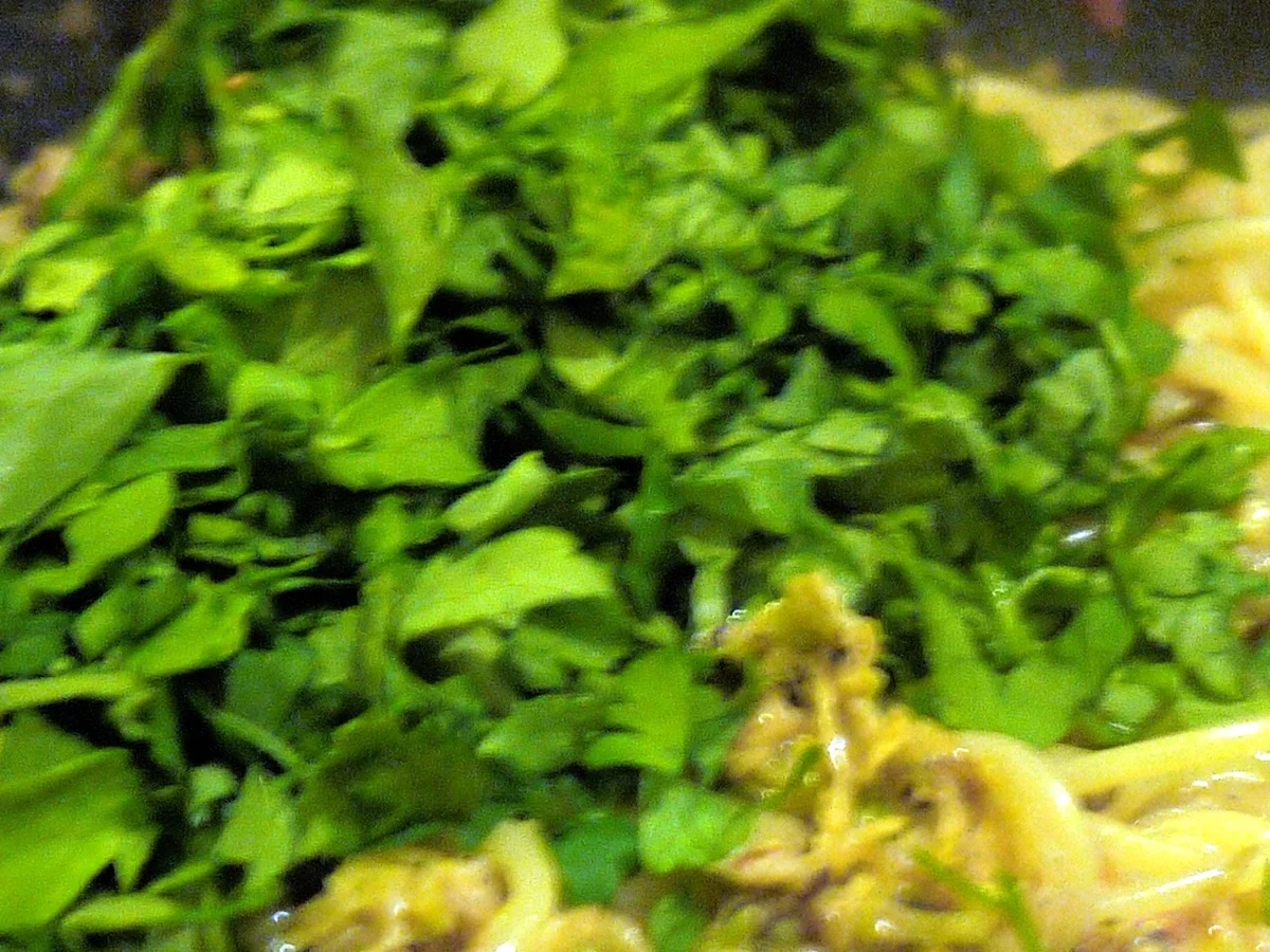 Rezept: Scharfe Rosenkohlpasta Bild Nr. 4728 Scharfe Rosenkohlpasta - Rezept - Bild Nr. 4728