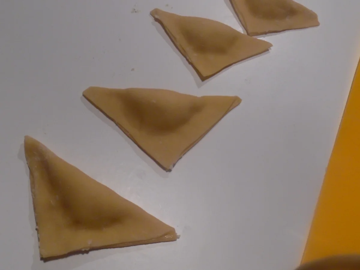 Cappellacci mit Ricotta-Parmesan-Füllung und Tomaten-Rahm-Soße - Rezept - Bild Nr. 4736