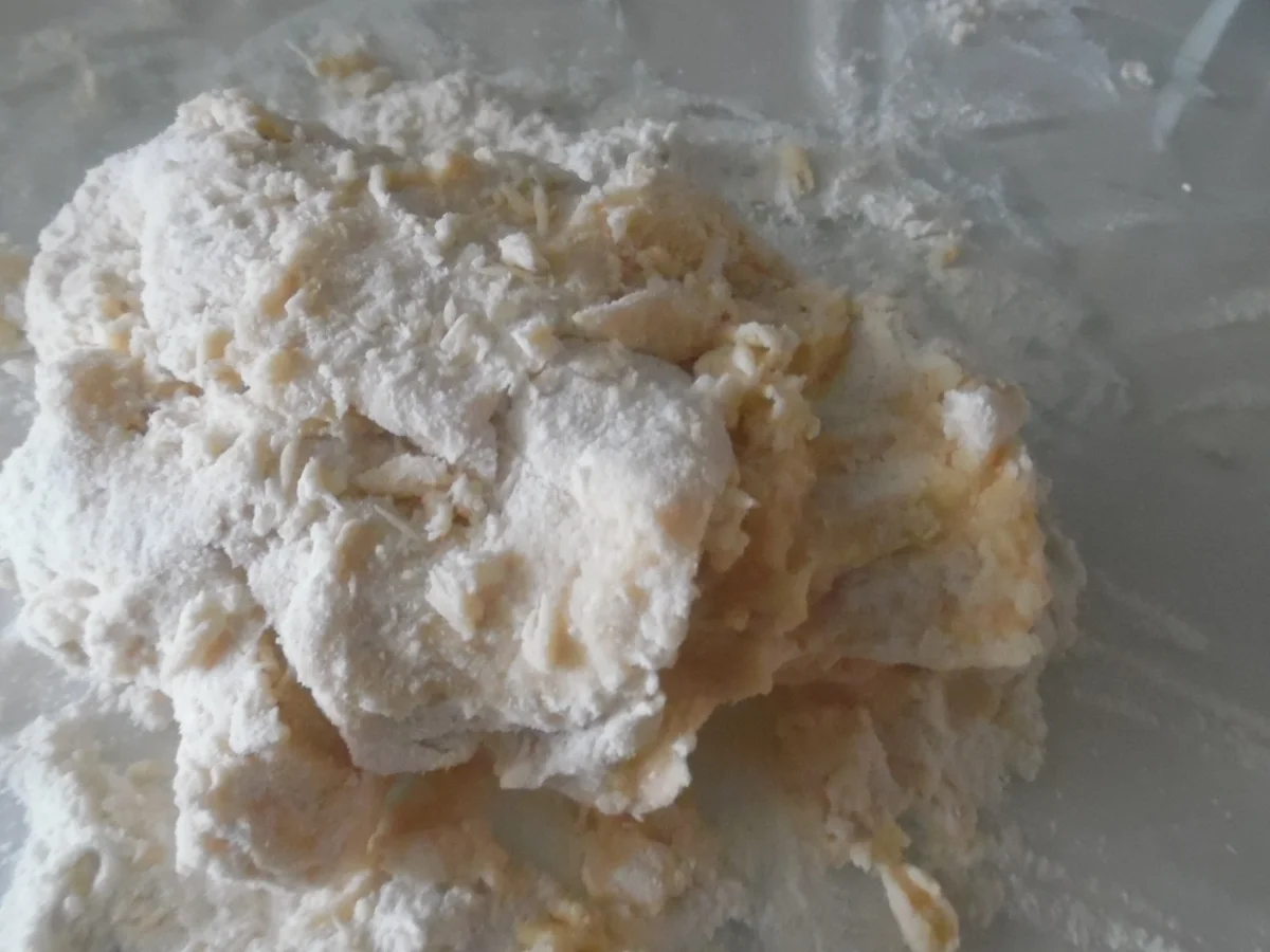 Cappellacci mit Ricotta-Parmesan-Füllung und Tomaten-Rahm-Soße - Rezept - Bild Nr. 4740