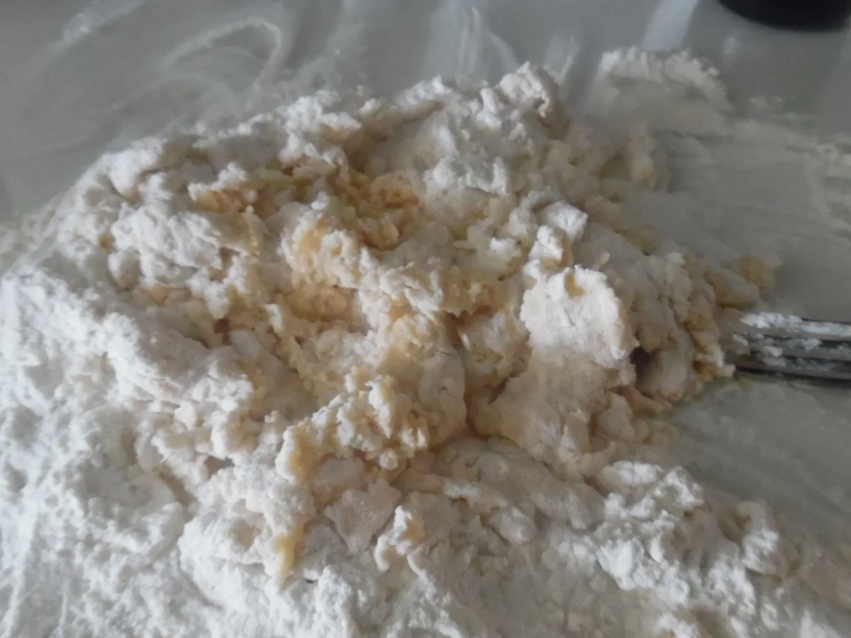 Cappellacci mit Ricotta-Parmesan-Füllung und Tomaten-Rahm-Soße - Rezept - Bild Nr. 4741