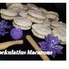 BiNe` S SPEKULATIUS MACARONS - Rezept - Bild Nr. 4788