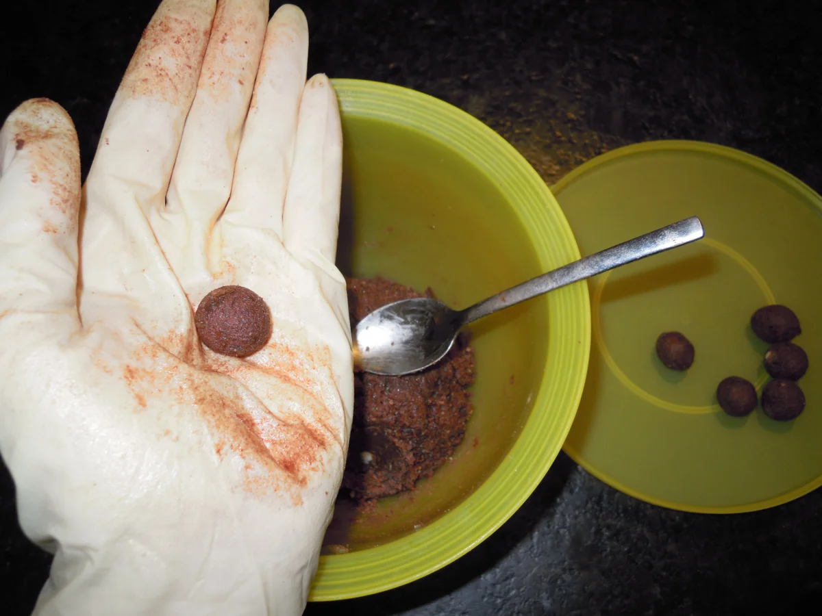 Rumkugeln mit Orangenlikör - Rosinen - Rezept - Bild Nr. 4735