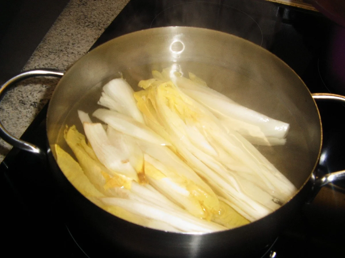 Rezept: Chicoree-Lachs-Auflauf Bild Nr. 4737 Chicoree-Lachs-Auflauf - Rezept - Bild Nr. 4737