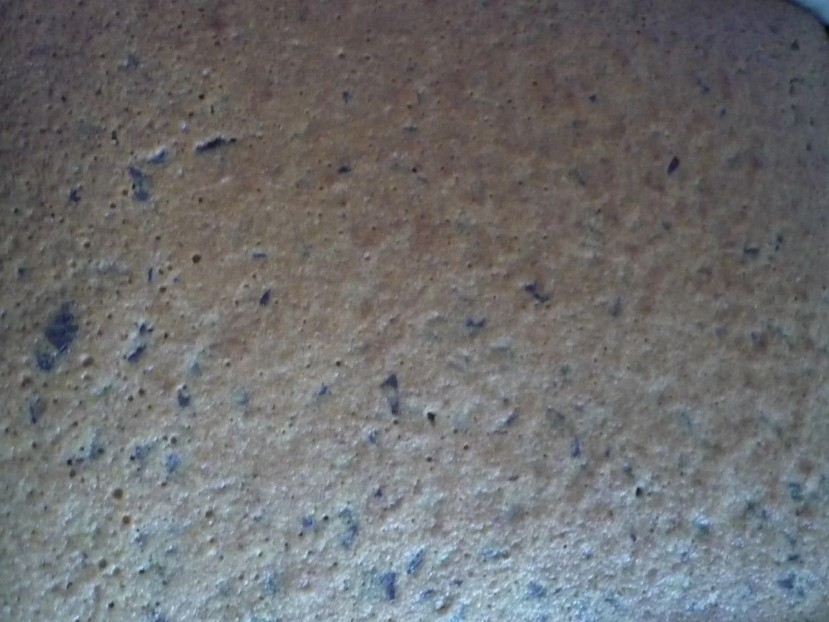 Rezept: Lebkuchen auf dem Blech Bild Nr. 4739 Lebkuchen auf dem Blech - Rezept - Bild Nr. 4739