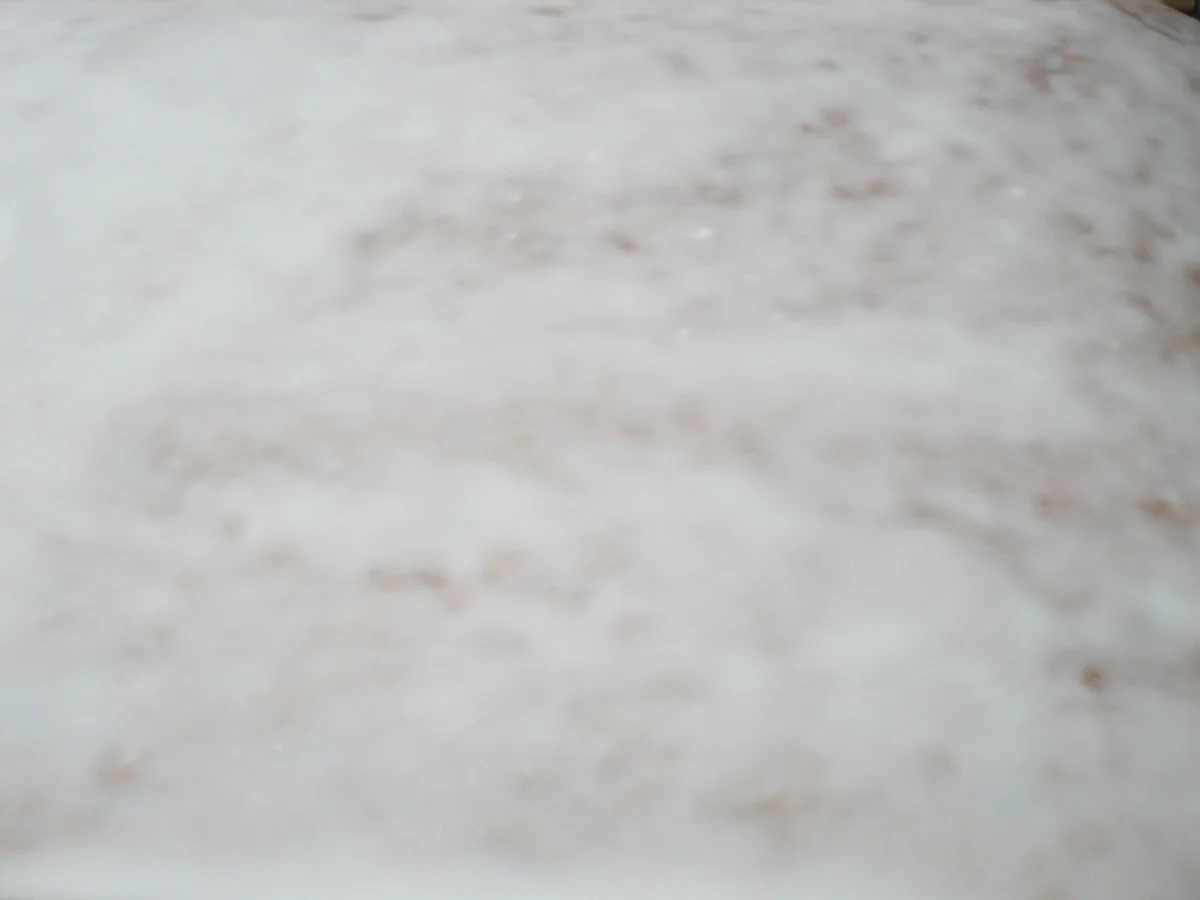 Rezept: Lebkuchen auf dem Blech Bild Nr. 4741 Lebkuchen auf dem Blech - Rezept - Bild Nr. 4741