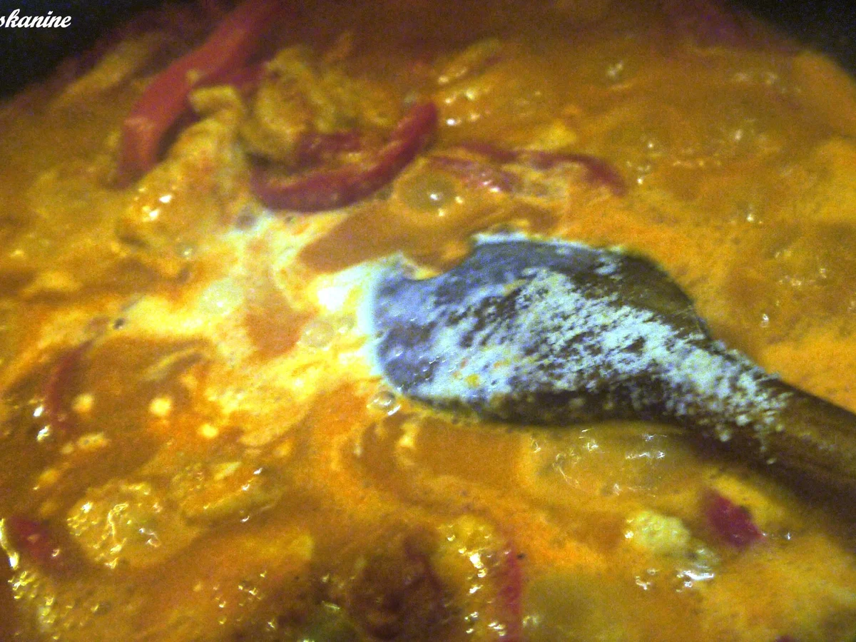 Chicken Tikka Masala in Mandel-Paprika-Rahm - Rezept - Bild Nr. 4785