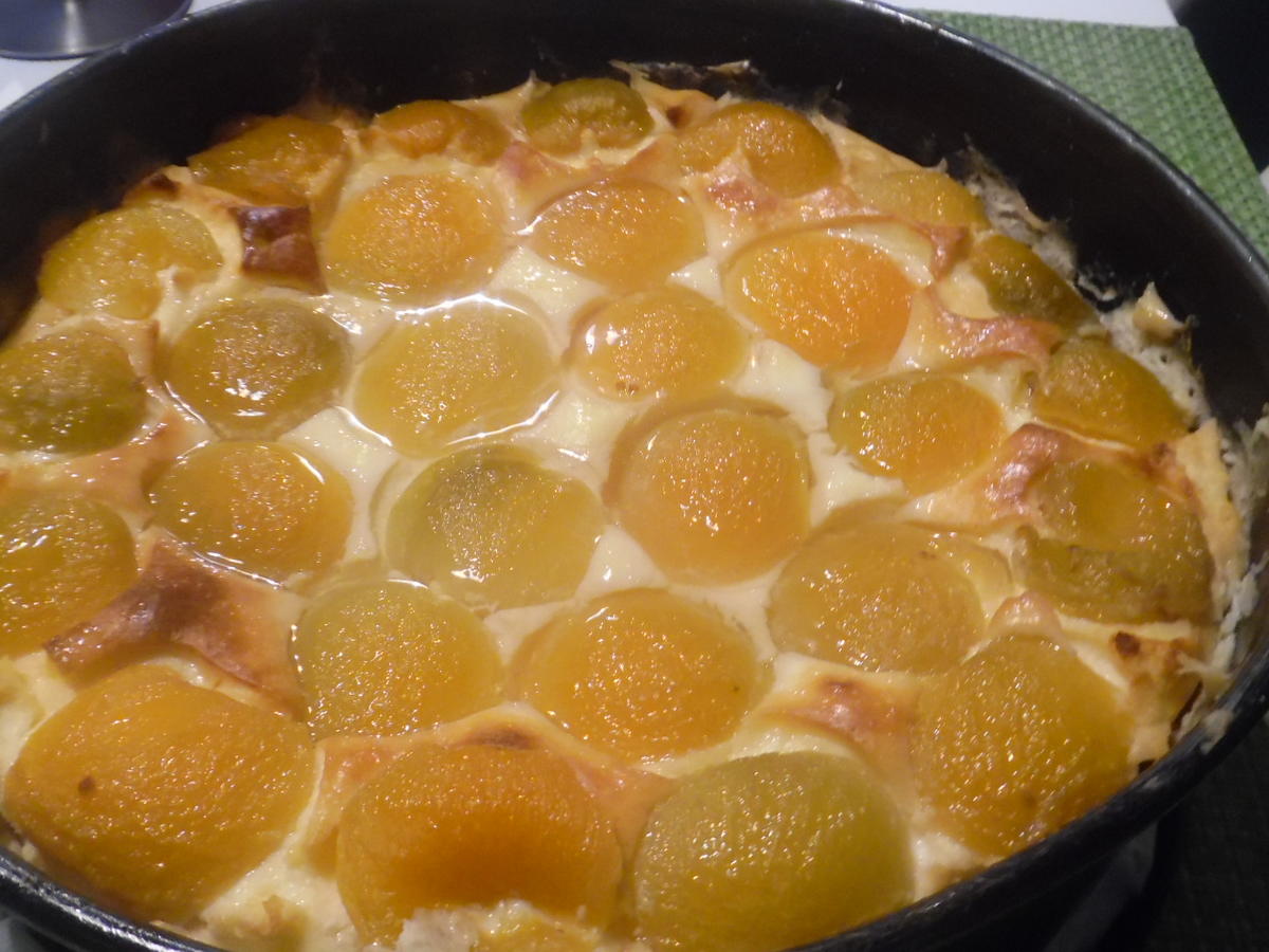 Käsekuchen ohne Boden mit Aprikosen - einfach - von barbara62