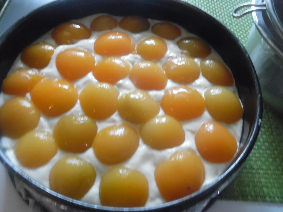 Käsekuchen ohne Boden mit Aprikosen - einfach - von barbara62