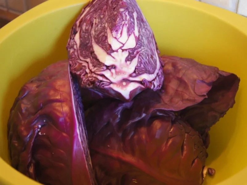 Ananas-Mango-Rotkohl - Rezept - Bild Nr. 4778