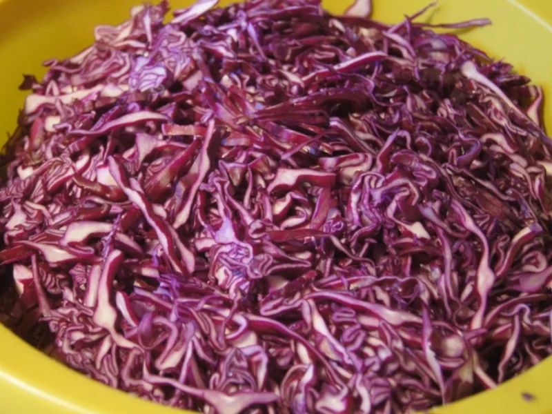 Ananas-Mango-Rotkohl - Rezept - Bild Nr. 4780