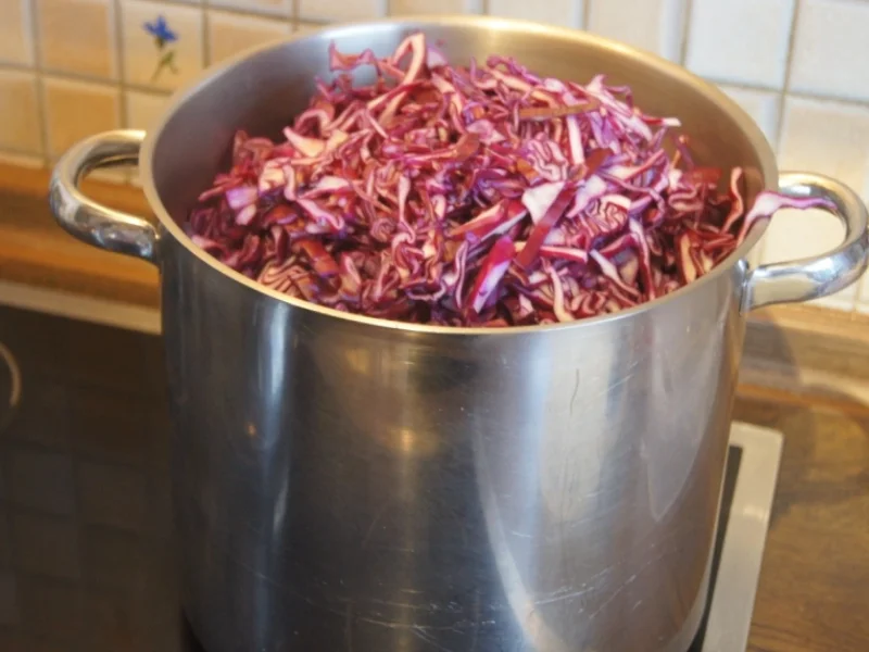 Ananas-Mango-Rotkohl - Rezept - Bild Nr. 4783