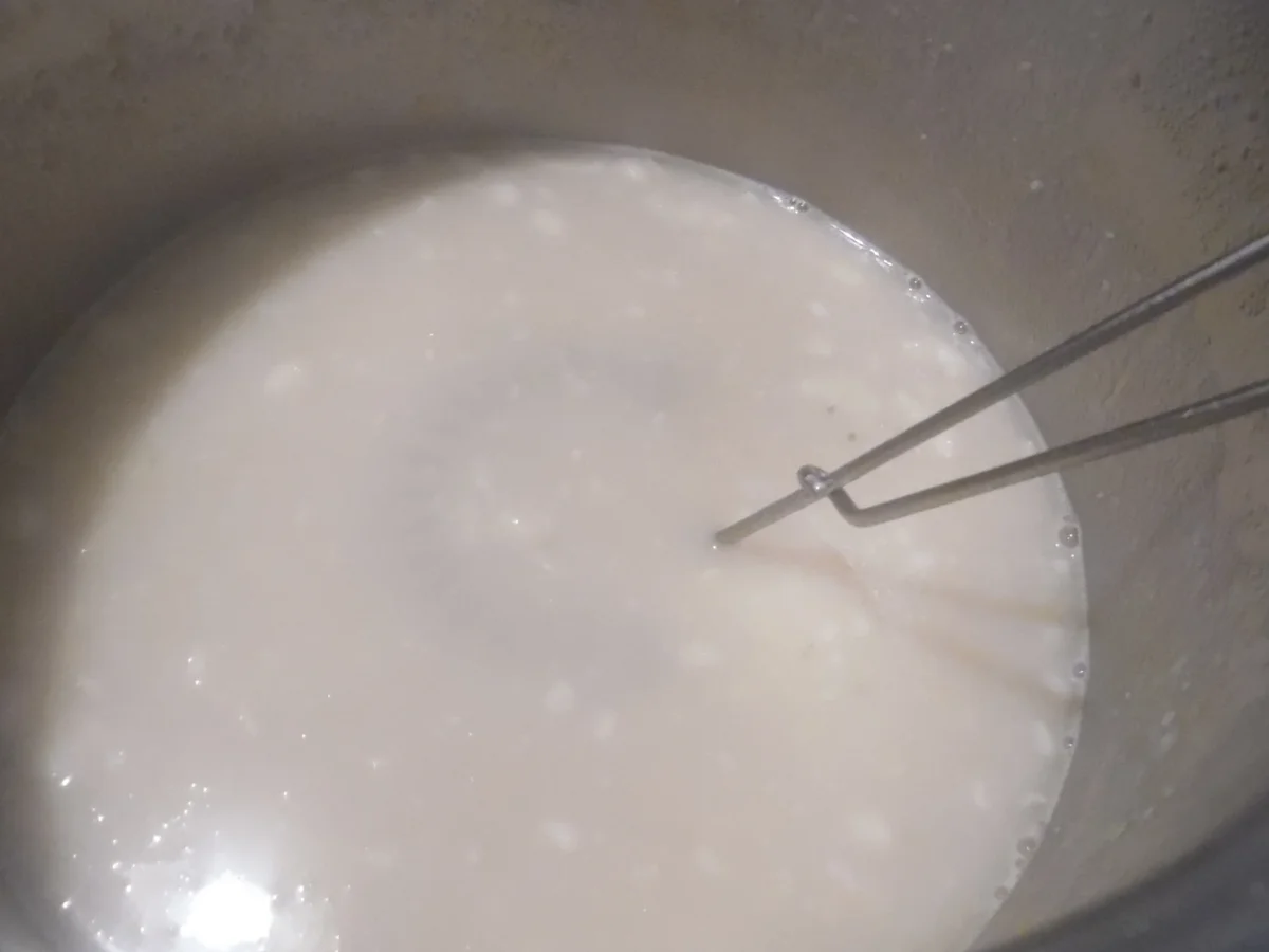 Rezept: Knoblauchsuppe mit Parmesan-Crostini Bild Nr. 4 Knoblauchsuppe mit Parmesan-Crostini - Rezept - Bild Nr. 4