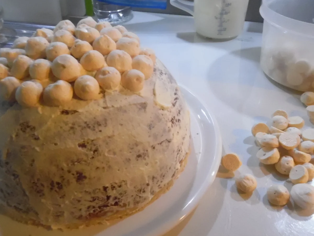 Rezept: Schneeball-Kuppeltorte Bild Nr. 4784 Schneeball-Kuppeltorte - Rezept - Bild Nr. 4784