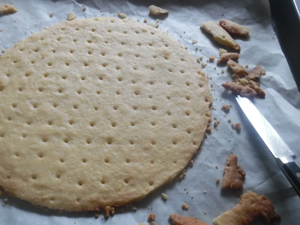 Rezept: Schneeball-Kuppeltorte Bild Nr. 4804 Schneeball-Kuppeltorte - Rezept - Bild Nr. 4804