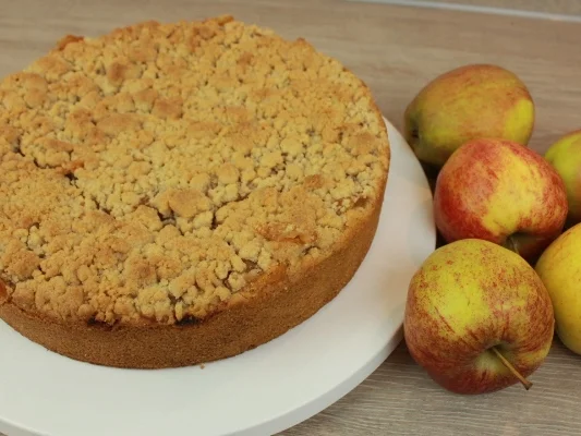 Apfelkuchen mit Zimtstreusel - Rezept - Bild Nr. 4784