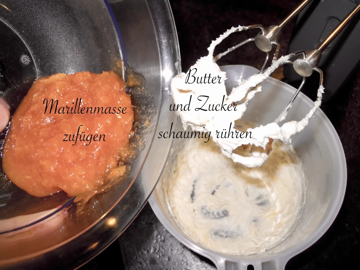 fruchtige Marillen Konfekt Kugeln - Rezept - Bild Nr. 4799