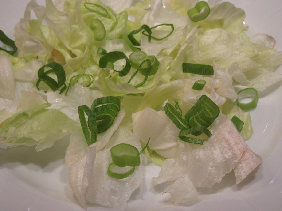 Fleisch: Marinierter Tafelspitz auf Salat - Rezept - Bild Nr. 4826
