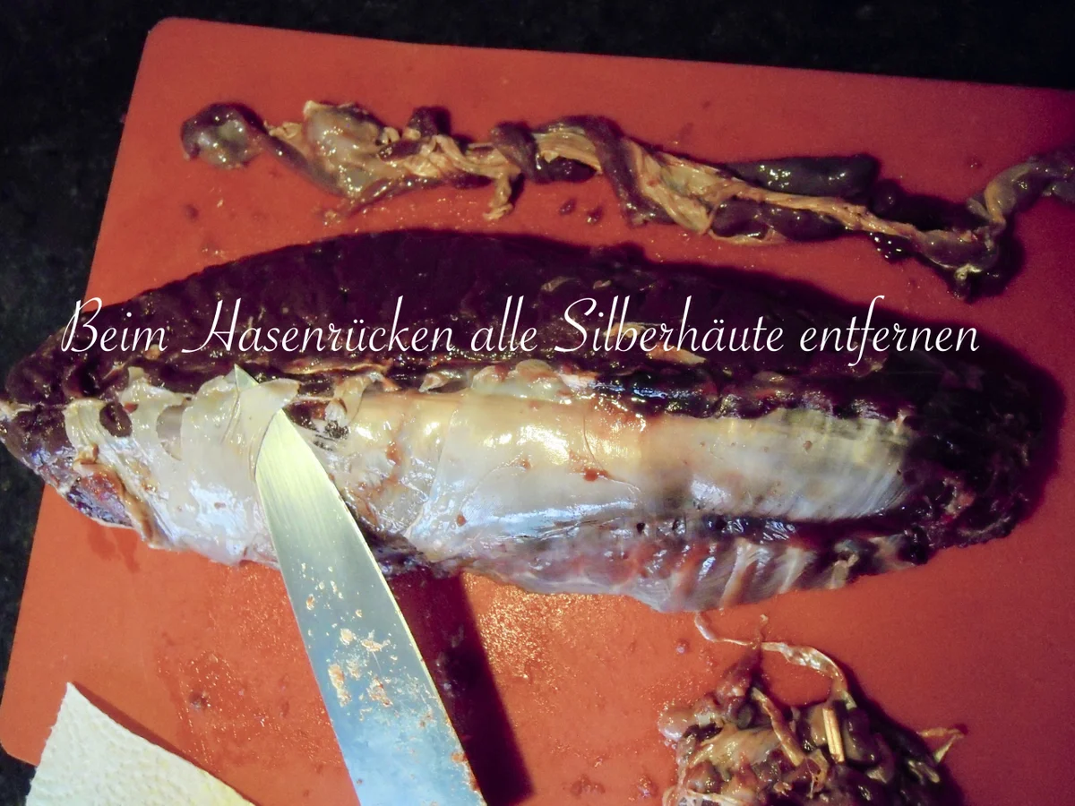 Rezept: Feldhase in feiner Orangensauce Bild Nr. 4821 Feldhase in feiner Orangensauce - Rezept - Bild Nr. 4821