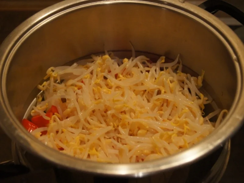 Rezept: Asiatisches Omelett Bild Nr. 4909 Asiatisches Omelett - Rezept - Bild Nr. 4909