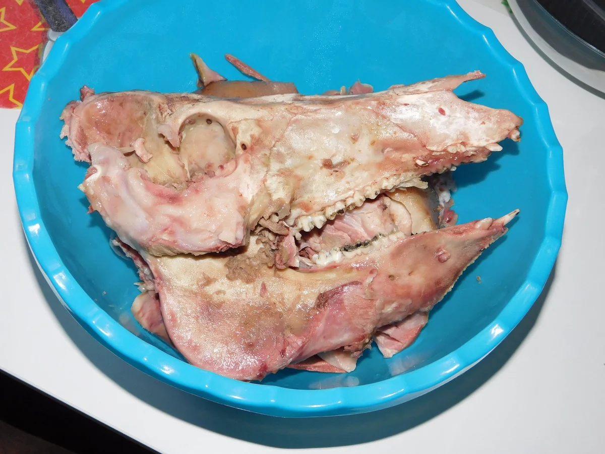 Schwartenwurst im Glas - Rezept - Bild Nr. 5