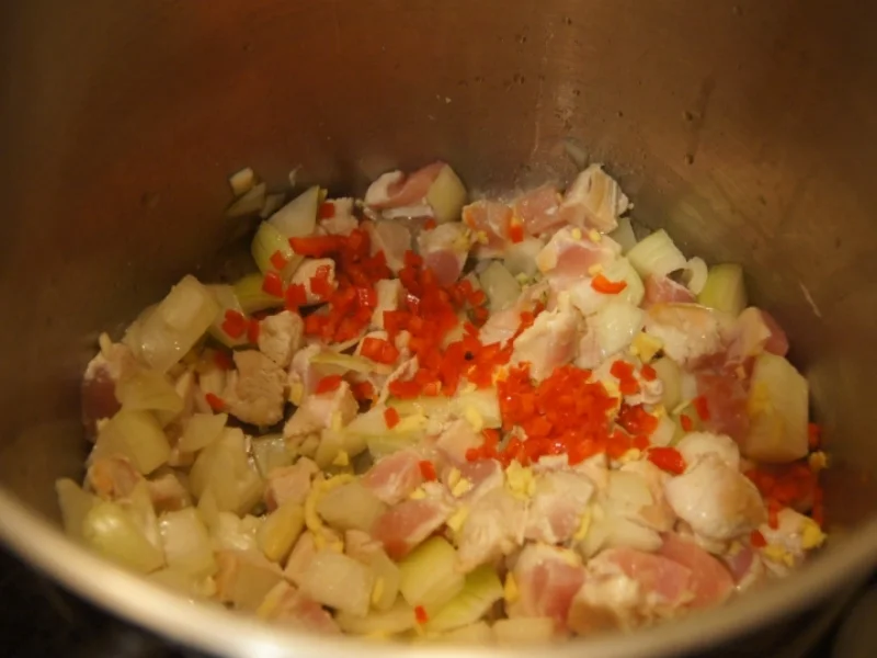 Schlanksuppe mit Putenfleisch asiatisch gewürzt - Rezept - Bild Nr. 4937