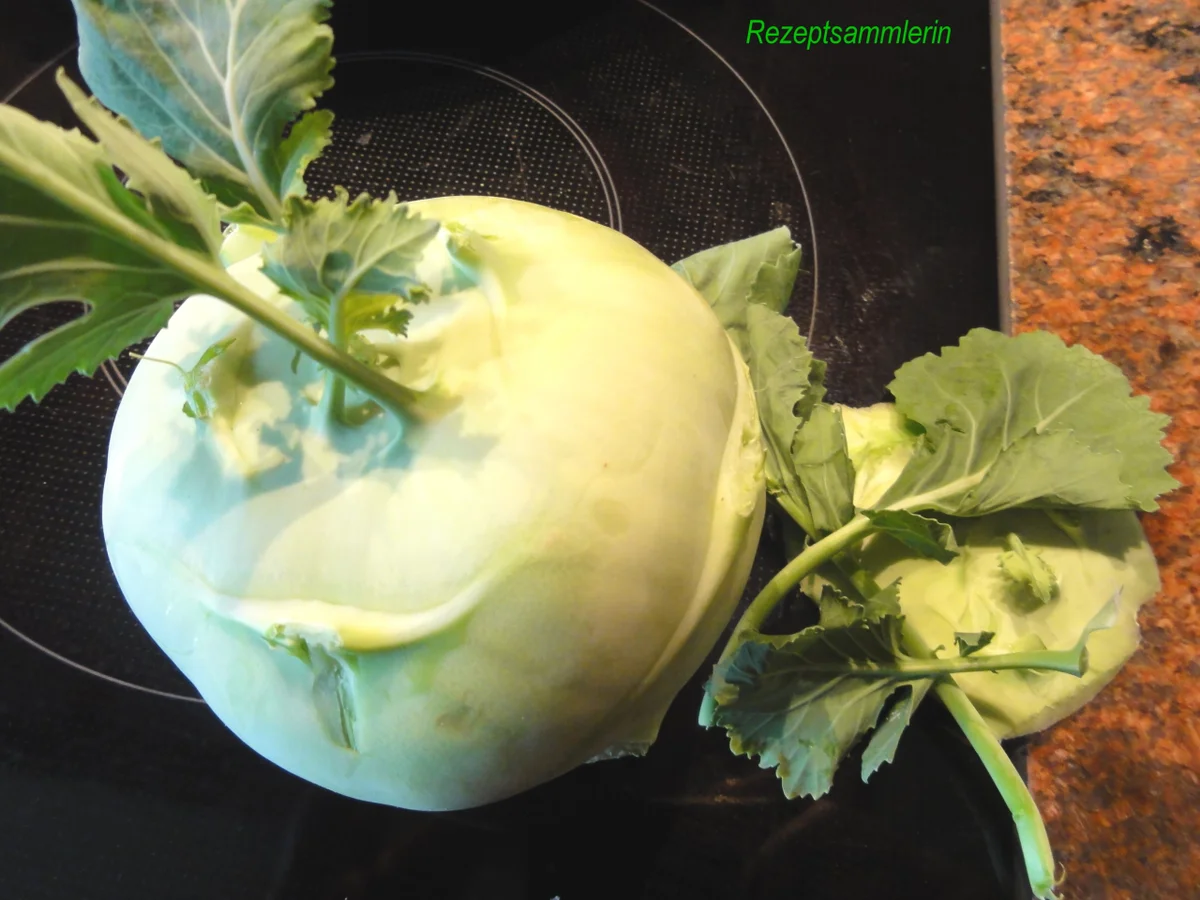 Rezept: Gemüse: helle KOHLRABI in Sahnesauce Bild Nr. 4935 Gemüse: helle KOHLRABI in Sahnesauce - Rezept - Bild Nr. 4935
