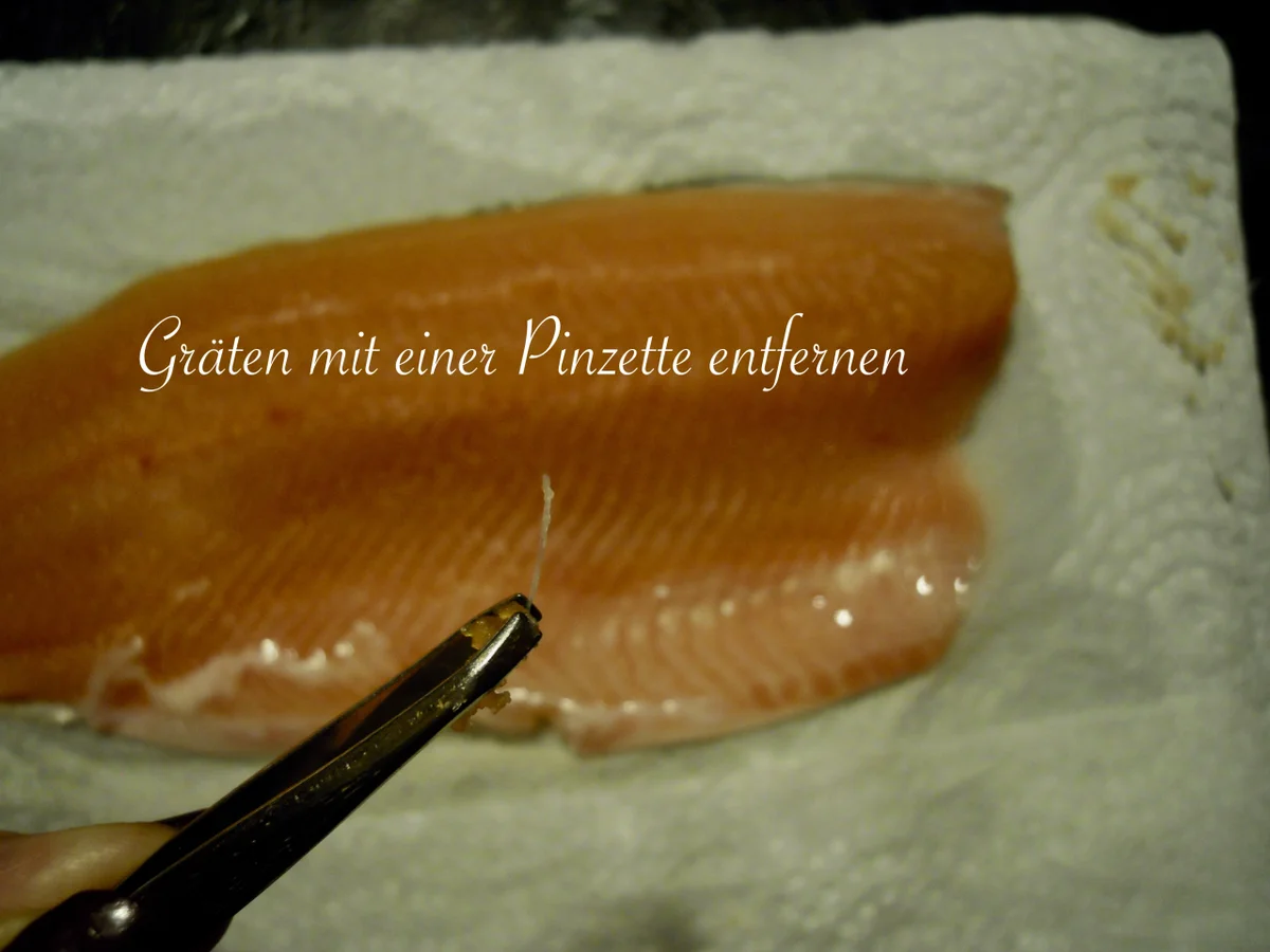 Rezept: frischer Saibling - mit Roter Beete gebeizt Bild Nr. 4939 frischer Saibling - mit Roter Beete gebeizt - Rezept - Bild Nr. 4939