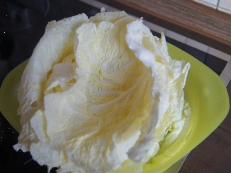 Kotelett mit Wirsing und Drillingen - Rezept - Bild Nr. 4944