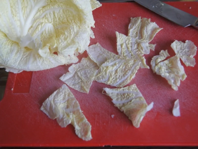 Kotelett mit Wirsing und Drillingen - Rezept - Bild Nr. 4945