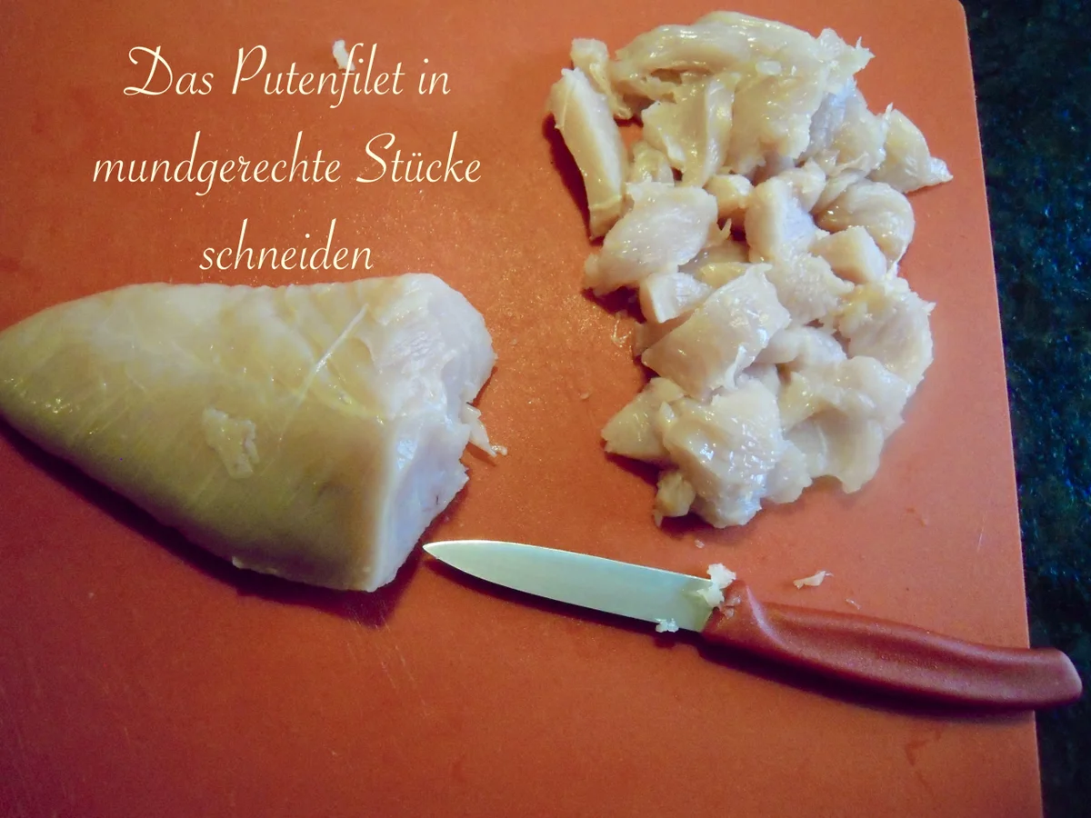 Rezept: blitzschnelle, pikante Asia Penne mit Putenstreifen Bild Nr. 4942 blitzschnelle, pikante Asia Penne mit Putenstreifen - Rezept - Bild Nr. 4942