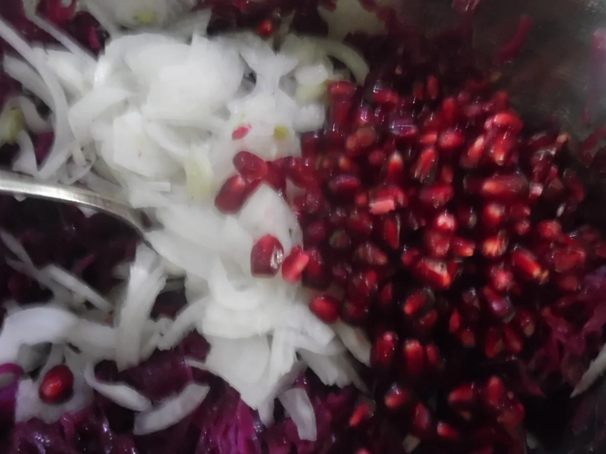 Rezept: Rotkraut-Salat mit Granatapfel Bild Nr. 4941 Rotkraut-Salat mit Granatapfel - Rezept - Bild Nr. 4941