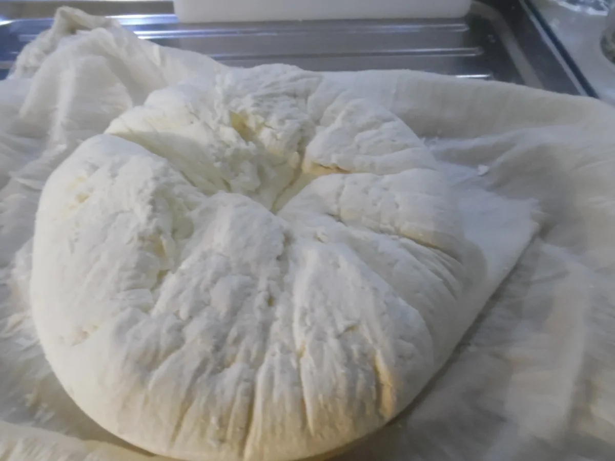 Halloumi selber machen - Rezept - Bild Nr. 4961