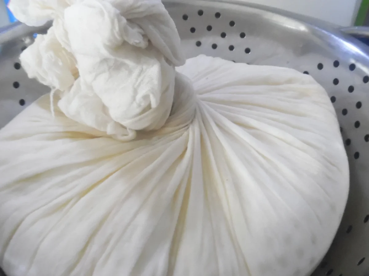 Halloumi selber machen - Rezept - Bild Nr. 4962