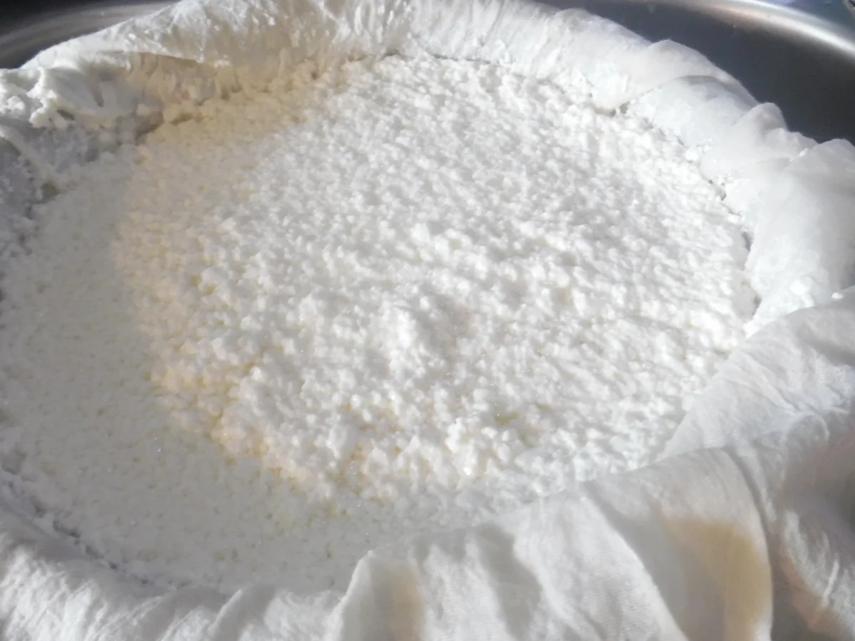 Halloumi selber machen - Rezept - Bild Nr. 4963