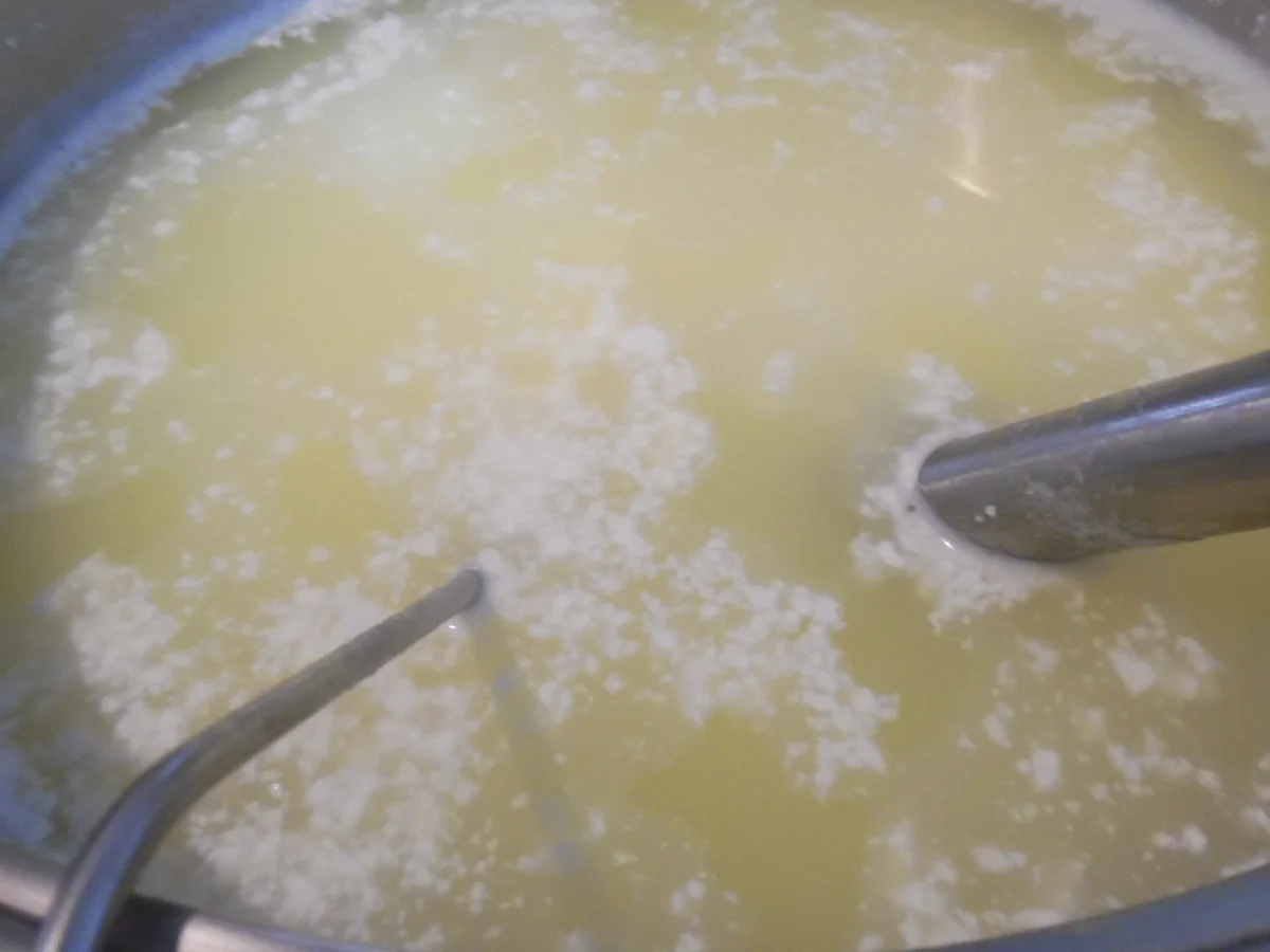 Halloumi selber machen - Rezept - Bild Nr. 4964