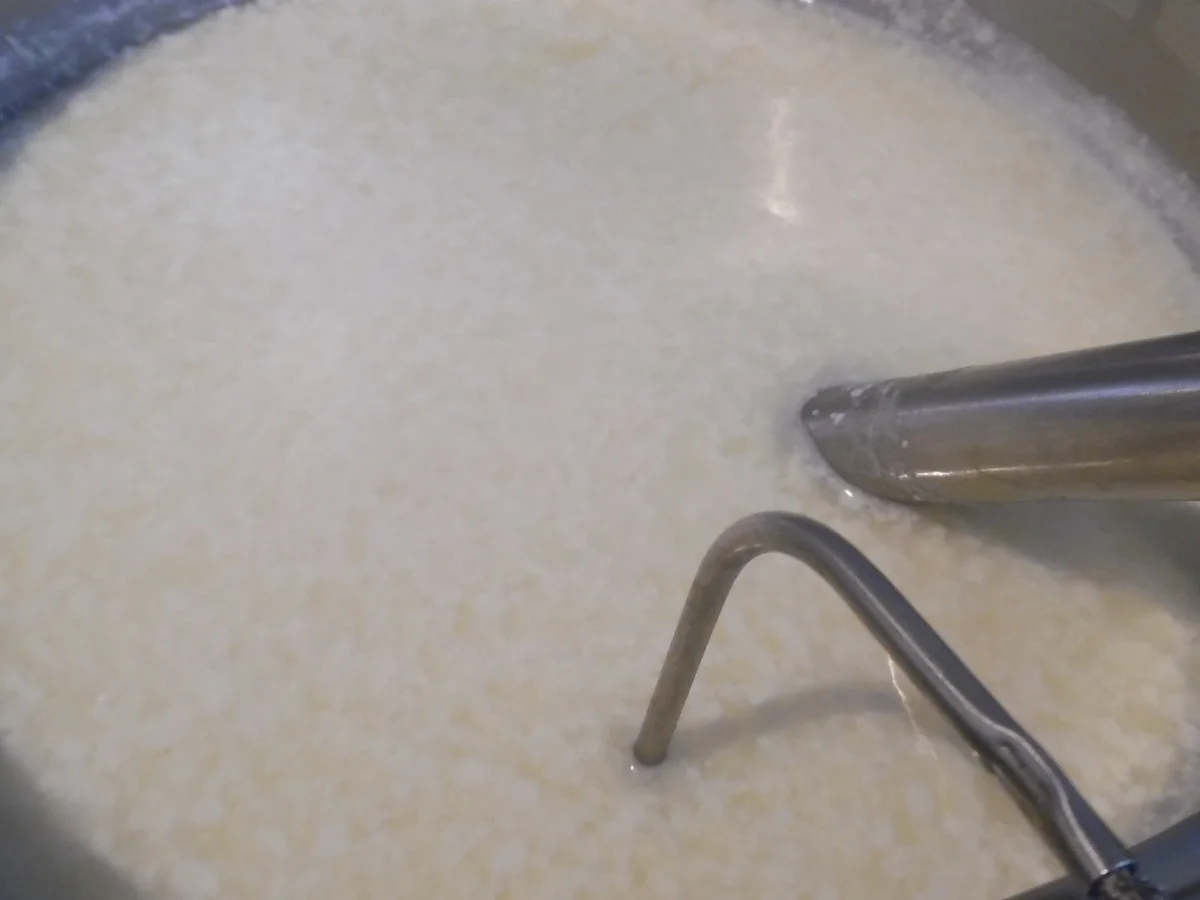 Halloumi selber machen - Rezept - Bild Nr. 4965